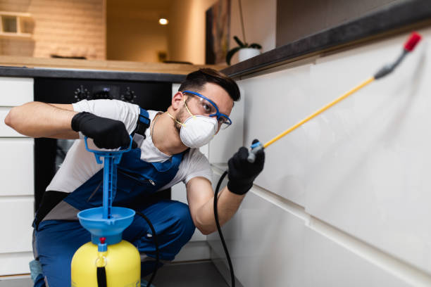 Best Local Pest Control Services  in Garner, NC