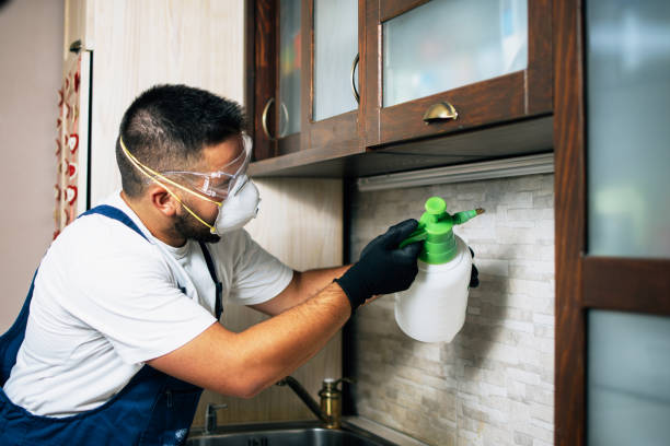 Best Termite Control Services  in Garner, NC