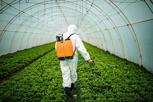 Best Residential Pest Control  in Garner, NC