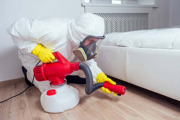 Wasp Removal Services in Garner, NC