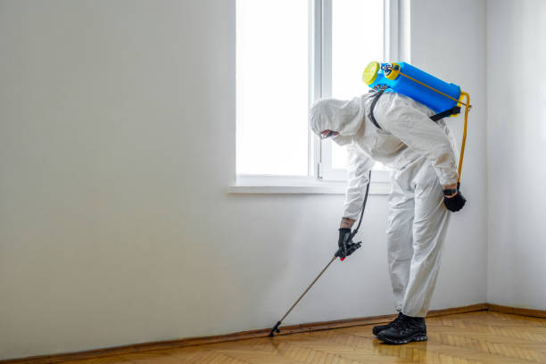 Best Best Pest Control Companies  in Garner, NC