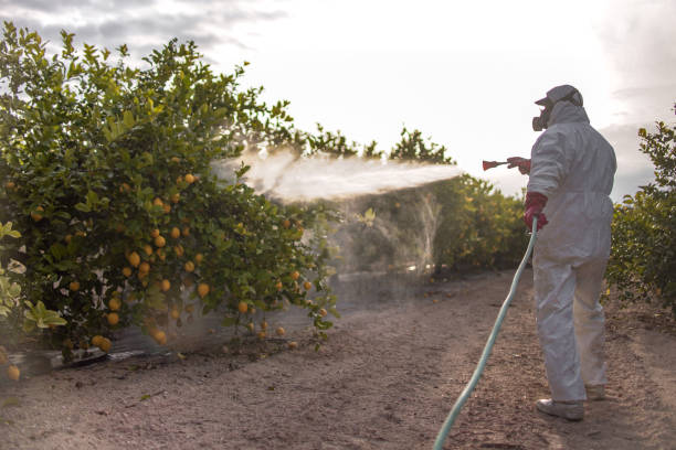 Best Emergency Pest Control  in Garner, NC
