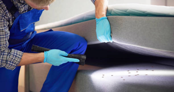 Best Rat Extermination Near Me  in Garner, NC