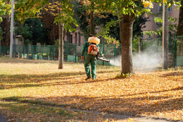 Best Rodent Control Near Me  in Garner, NC