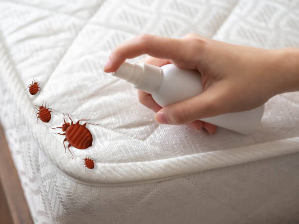 Best Best Pest Control Companies  in Garner, NC