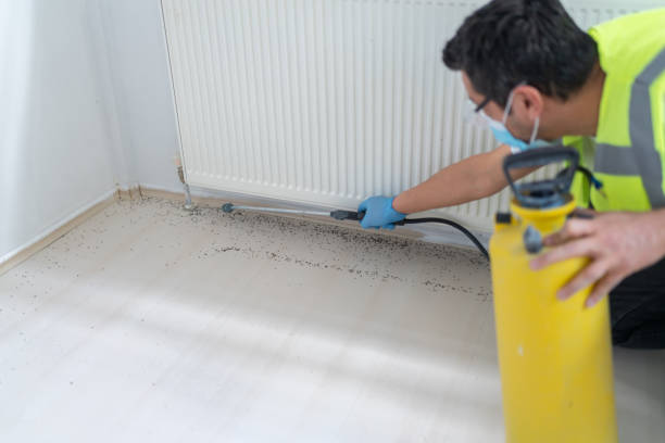 Best Affordable Pest Control Services  in Garner, NC