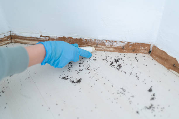 Professional Pest Control in Garner, NC