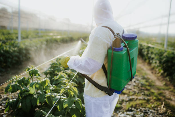 Best Insect Control  in Garner, NC